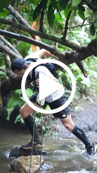 BIB:  <button type="button" onclick="openModal(27808252)" class="btn btn-primary btn-sm float-right" data-toggle="modal" data-target=".modal-high-quality">
                <i class="fa fa-download"></i> Download
                </button>